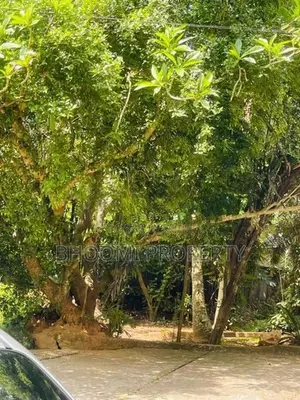 මාතලේ රජ වීදිය පෙනෙන මානයේ අගනා බිම් කොටස් කිහිපයක්