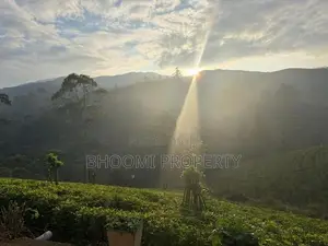 Beautiful Houses For Sale In Rozella