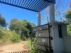 වික්ටෝරියා ජලාශය පෙනෙන මානයේ අගනා ඉඩම් කිහිපයක්