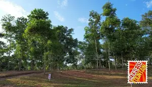 Ragama Luxury Land For Sale