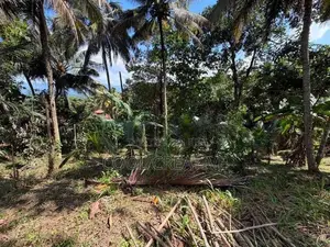 Valuable Land for Sale in Walala, Menikhinna – Close to Kandy City