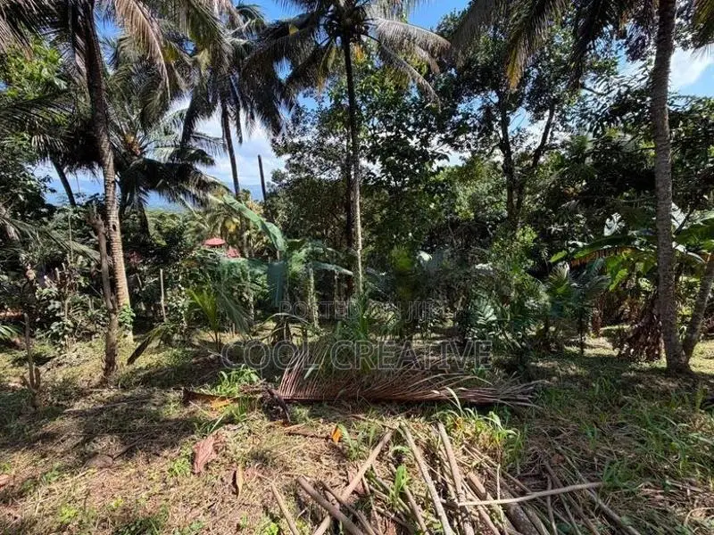 Valuable Land for Sale in Walala, Menikhinna – Close to Kandy City