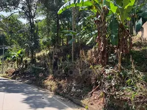 Valuable Land for Sale in Walala, Menikhinna – Close to Kandy City
