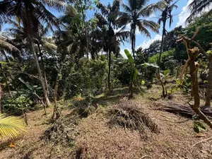Valuable Land for Sale in Walala, Menikhinna – Close to Kandy City