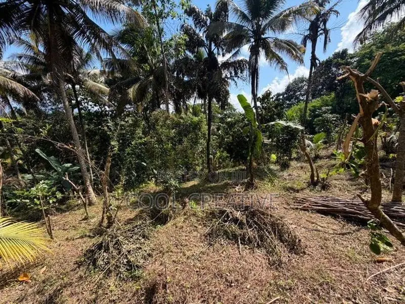 Valuable Land for Sale in Walala, Menikhinna – Close to Kandy City