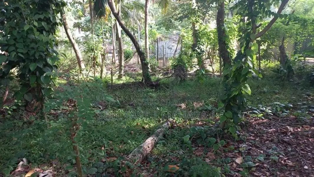 Land for Sale Kadawatha