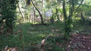 Land for Sale Kadawatha