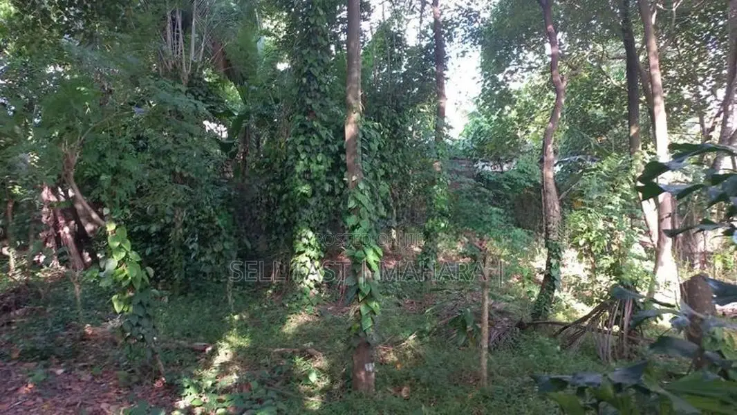 Land for Sale Kadawatha