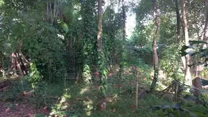 Land for Sale Kadawatha