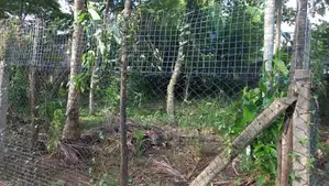 Land for Sale Kadawatha