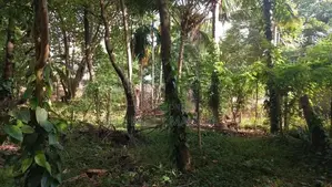 Land for Sale Kadawatha