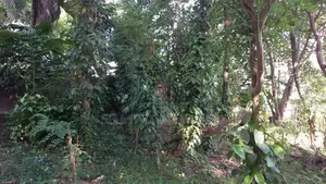 Land for Sale Kadawatha