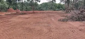 High Valuable Land Plots For Sale In Tangalle Rekawa