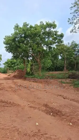 High Valuable Land Plots For Sale In Tangalle Rekawa