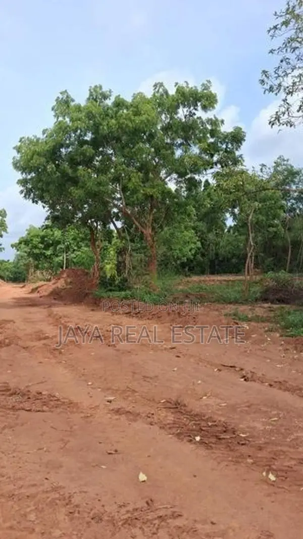 High Valuable Land Plots For Sale In Tangalle Rekawa