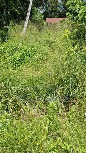 58 Perch Land for Sale in Negombo