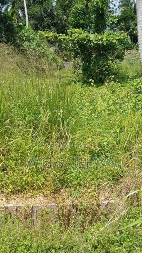 58 Perch Land for Sale in Negombo