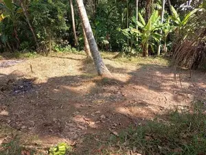 LAND FOR SALE IN KADAWATHA (SP1256)