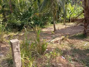 LAND FOR SALE IN KADAWATHA (SP1256)