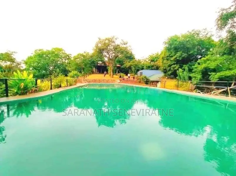 Modern House for Sale – Victoria Range Bungalow, Digana, Kandy