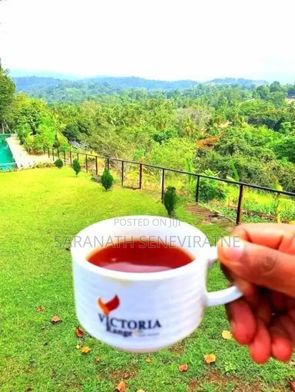 Modern House for Sale – Victoria Range Bungalow, Digana, Kandy