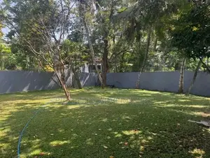 50 Perch Land for Long Term Rent Boralesgamuwa