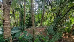 කඩවතෙන් ඉඩම / ER 14918