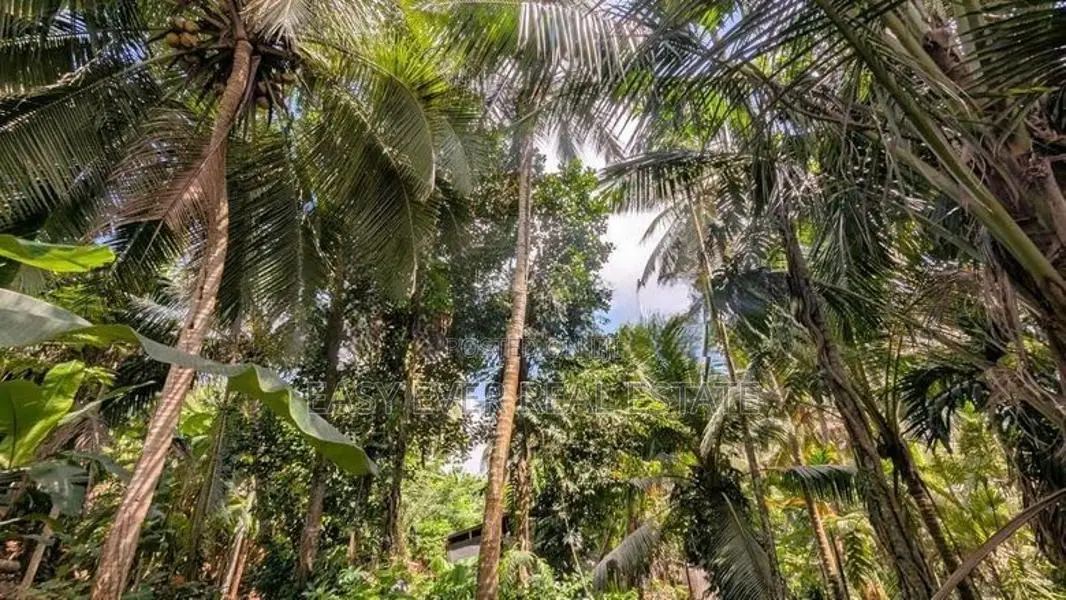 කඩවතෙන් ඉඩම / ER 14918