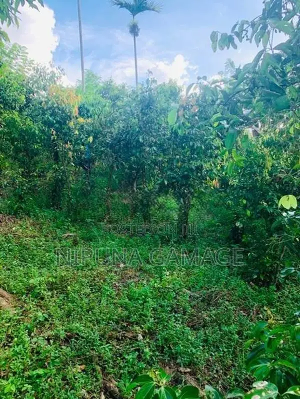 Land for Sale – Deiyandara, Kirama Road