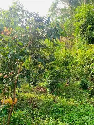Land for Sale – Deiyandara, Kirama Road