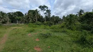කඩවත – වෑබඩින් වටිනා නේවාසික ඉඩමක් / HS 14234