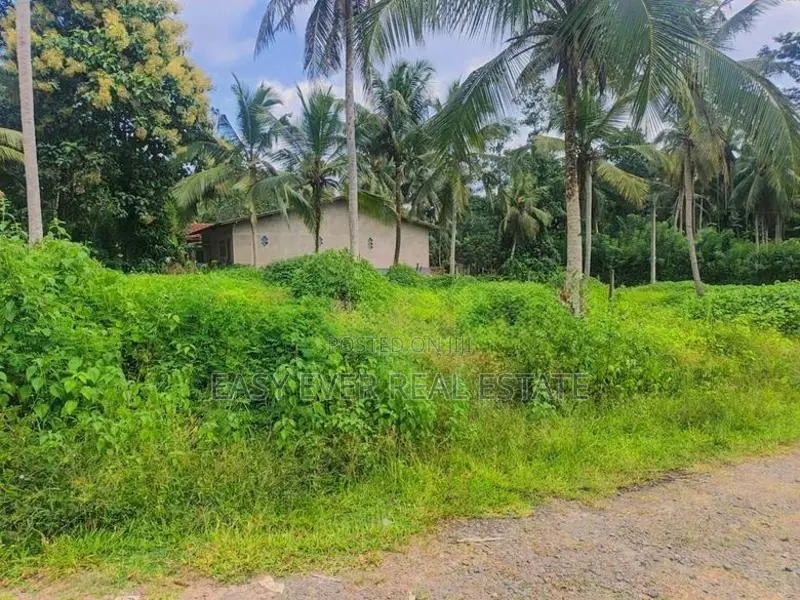 කඩවත – ඉඹුල්ගොඩින් ඔබේ සිහින නිවසට සුපිරි ඉඩමක්! / UP 14257