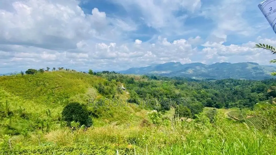 දොලුව හන්තාන කදු පෙනෙන මානයේ අගනා ඉඩම් කිහිපයක්