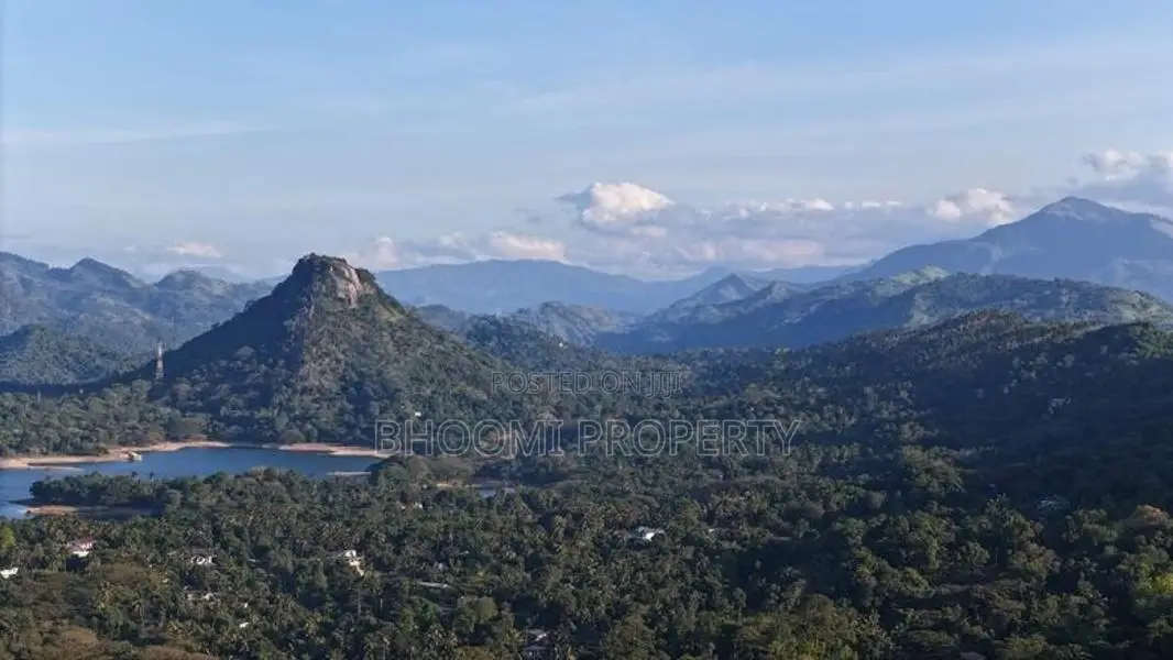 Premium Land Plots for Sale – Digana