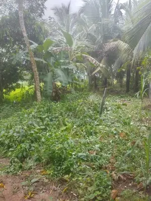 Superb Land for Sale in Horana
