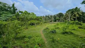කඩවත – වෑබඩින් වටිනා නේවාසික ඉඩමක් / HS 14234