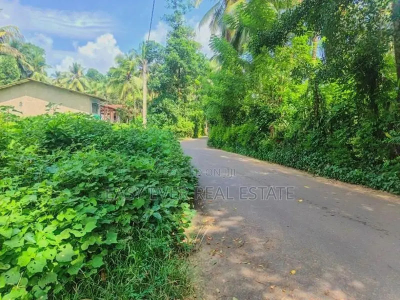 කඩවත – ඉඹුල්ගොඩින් ඔබේ සිහින නිවසට සුපිරි ඉඩමක්! / UP 14257