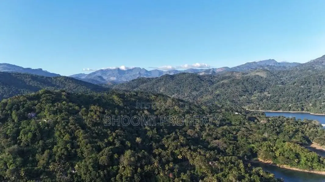 Premium Land Plots for Sale – Digana