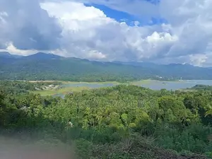திகனாவில் உயர்தர காணித் திட்டம் – விற்பனைக்கு