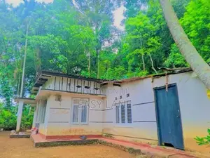 නුවර, ගෙලිඔය නගරයෙන් ගම්පල පාරට මුහුනලා නිවසක් / RU 15008