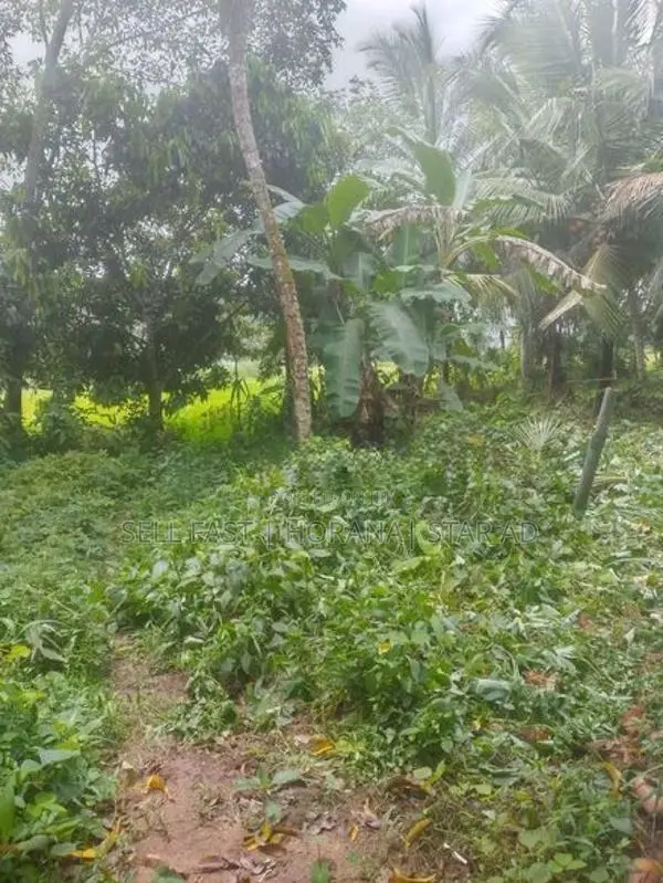Superb Land for Sale in Horana