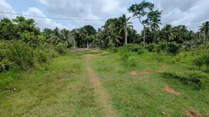 කඩවත – වෑබඩින් වටිනා නේවාසික ඉඩමක් / HS 14234