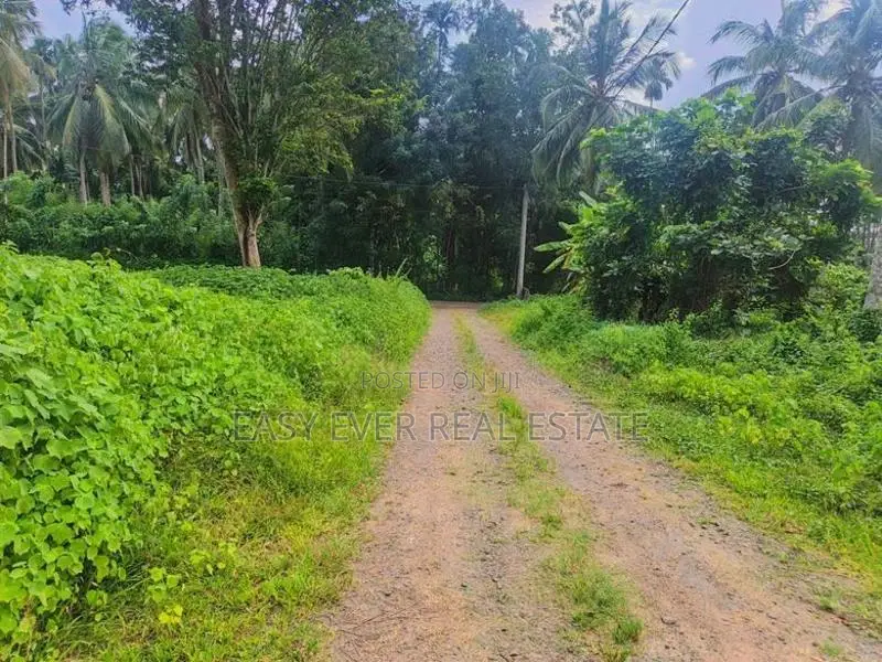 කඩවත – ඉඹුල්ගොඩින් ඔබේ සිහින නිවසට සුපිරි ඉඩමක්! / UP 14257