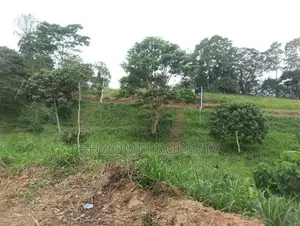 පේරාදෙනිය නගරයට සමීපවම ඉඩම් කොටස් කිහිපයක්