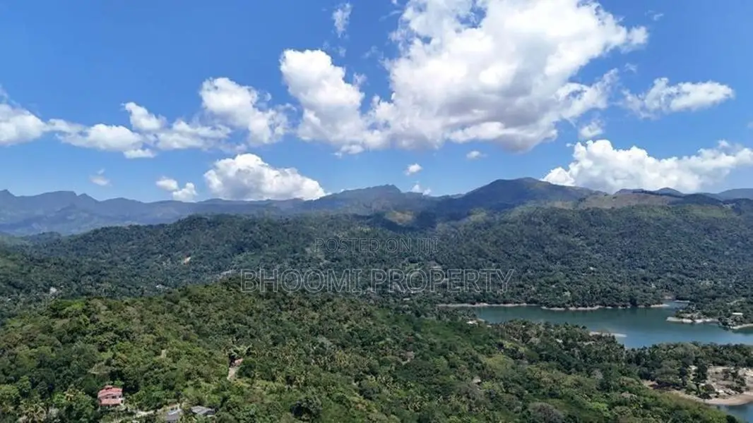 Premium Land Plots for Sale – Digana