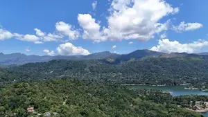 Premium Land Plots for Sale – Digana