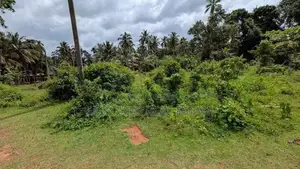 කඩවත – වෑබඩින් වටිනා නේවාසික ඉඩමක් / HS 14234