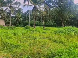 කඩවත – ඉඹුල්ගොඩින් ඔබේ සිහින නිවසට සුපිරි ඉඩමක්! / UP 14257