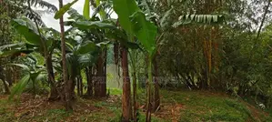 Land for Sale in Biyagama Road, Kelaniya
