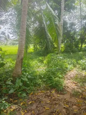 Superb Land for Sale in Horana